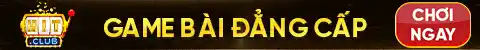 top banner